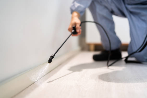 Licensed Pest Control service in Breese, IL - Show Me Pest Control