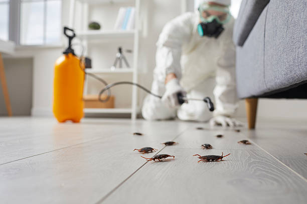 Commercial Kitchen Cockroach Control in Breese